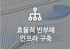 효율적 반부패 인프라 구축